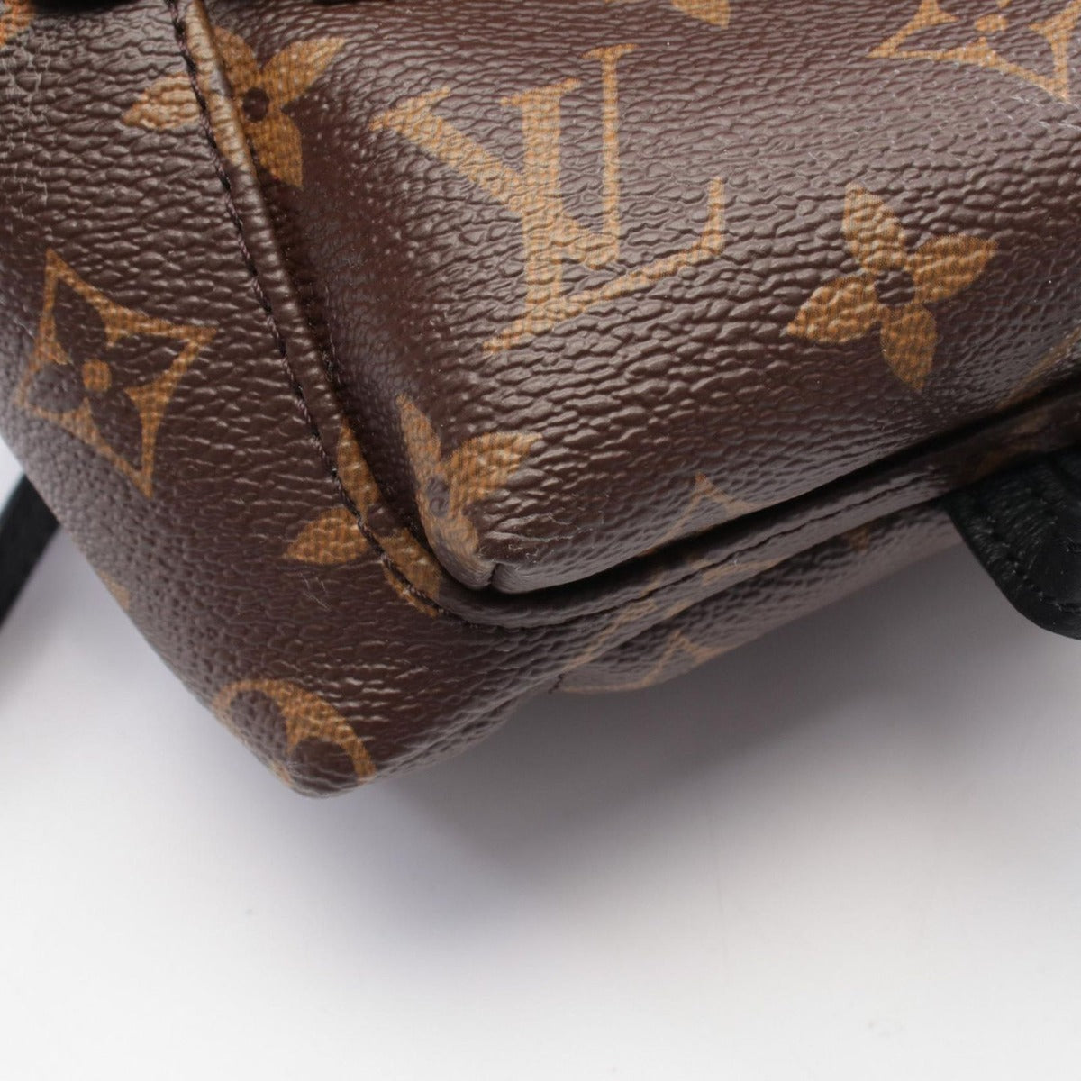 Louis Vuitton Backpack Palm Spring Mini Canvas — view 9