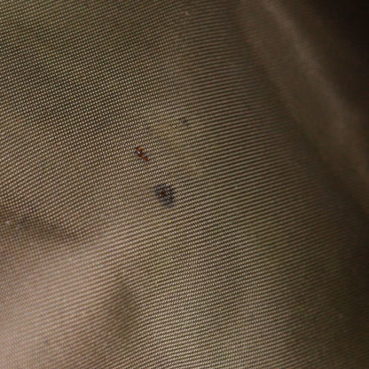 Louis Vuitton Citadin NM M93223 Damier Geant Canvas Noir Black Sp1190 Men's