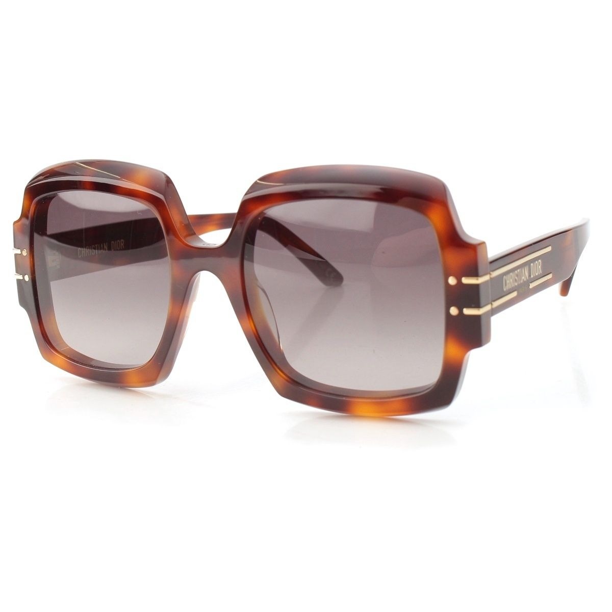 Dior Logo Sunglasses Eyewear Brown