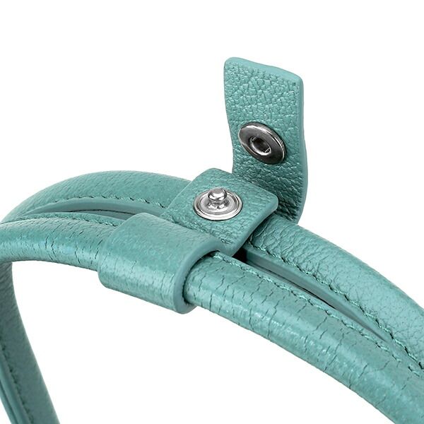 Bottega Veneta Handbag MINI THE ARCO Storm