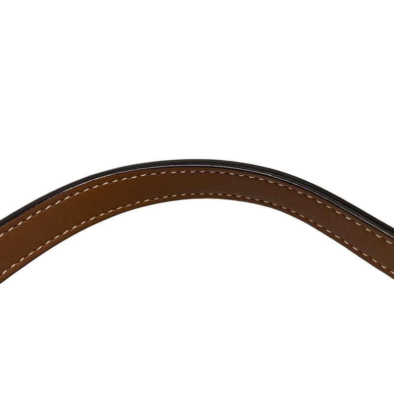 Celine Shoulder Bag Crossbody Oval Purse Cuir Triomphe Tan (brown) Mini Bag