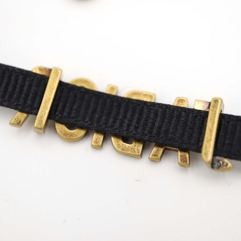 Christian DIOR Jadior Choker Women's Accessories With Box Yo647