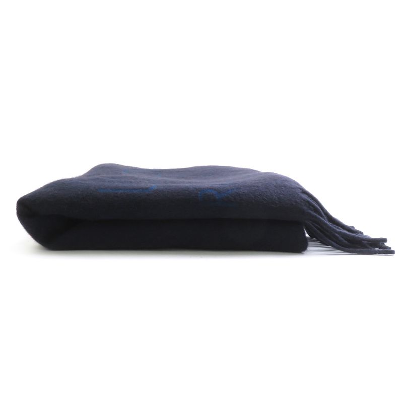 Louis Vuitton Shawl Stole