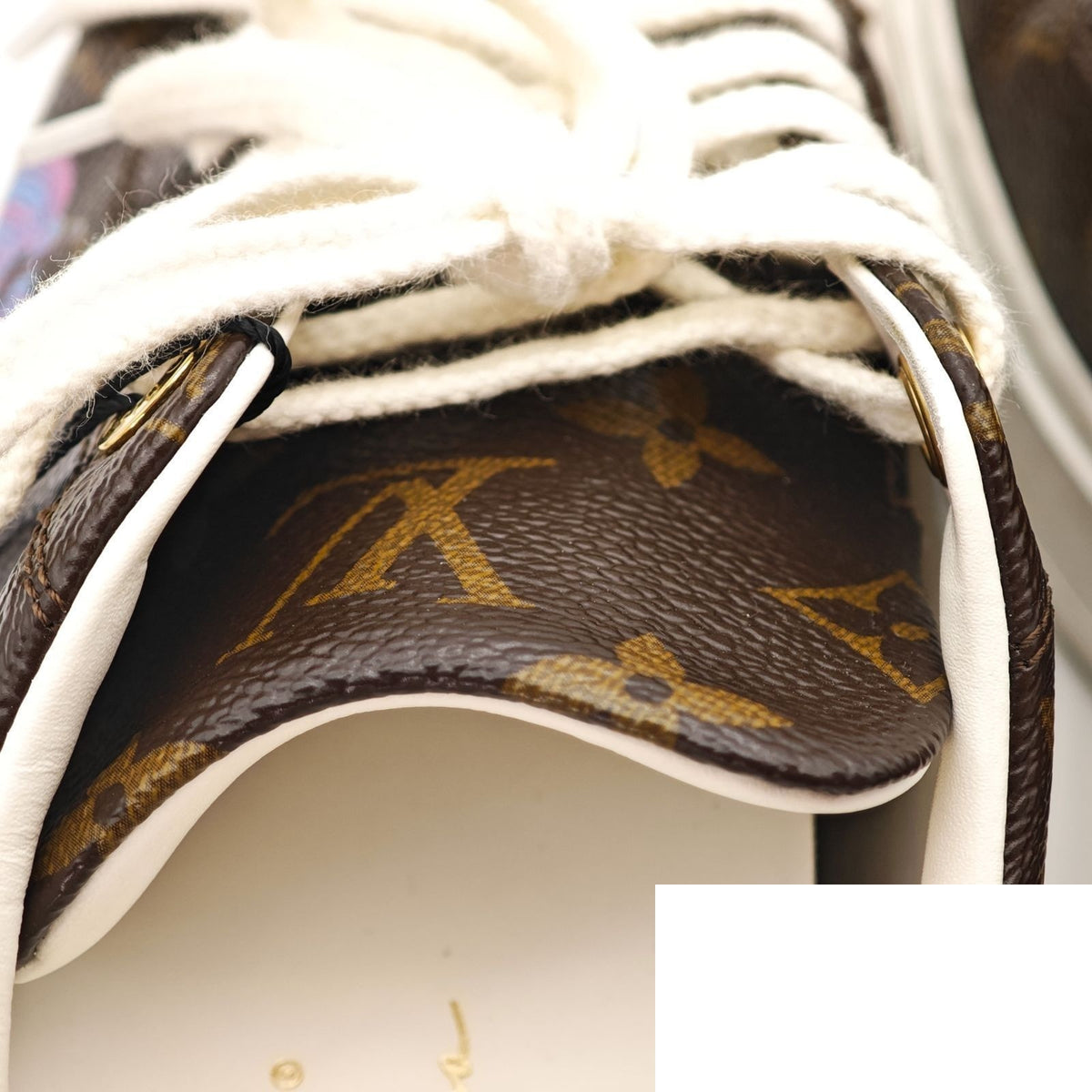 Louis Vuitton Yayoi Kusama Collaboration Sneakers Brown Bag