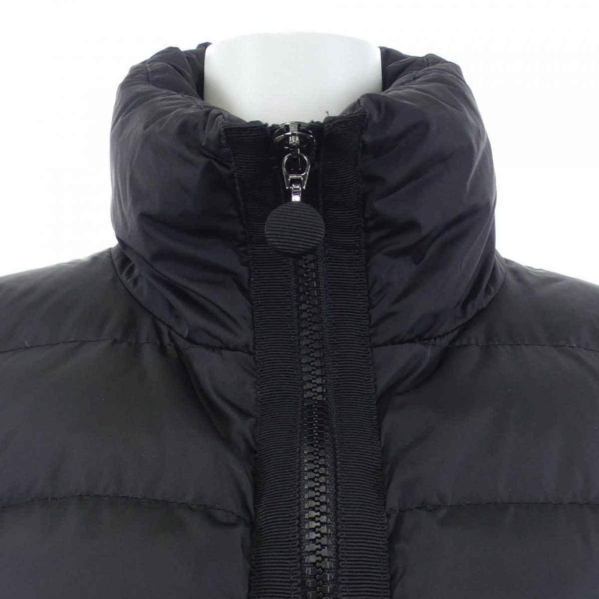 Moncler Anserine Down Jacket — view 6