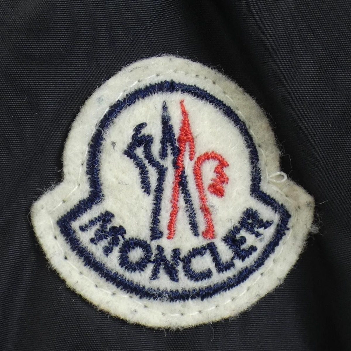 Moncler Anserine Down Jacket — view 9