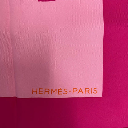 Hermes Silk Scarf Zingaro Tokyo Pink — view 7