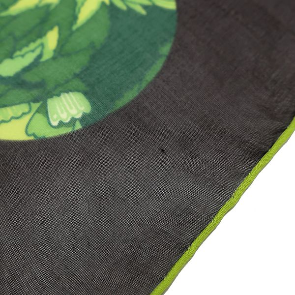 Hermes Shawl Rectangle Silk Brown and Green [box