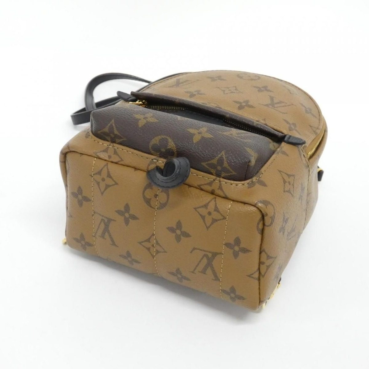Louis Vuitton Monogram Reverse Palm Springs Backpack Mini Sac — view 3