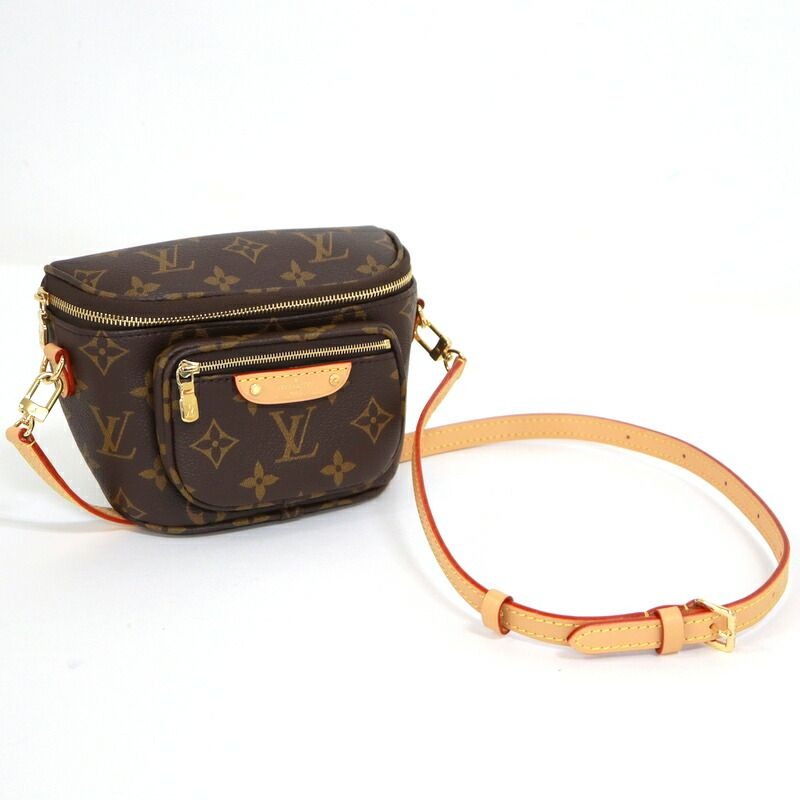 Louis Vuitton Mini Bum Bag Monogram