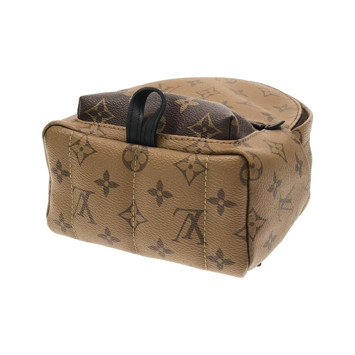 Louis Vuitton Monogram Reverse Palm Spring Backpack Mini Sac — view 3