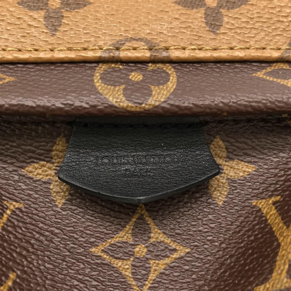Louis Vuitton Monogram Reverse Palm Spring Backpack Mini Sac — view 4