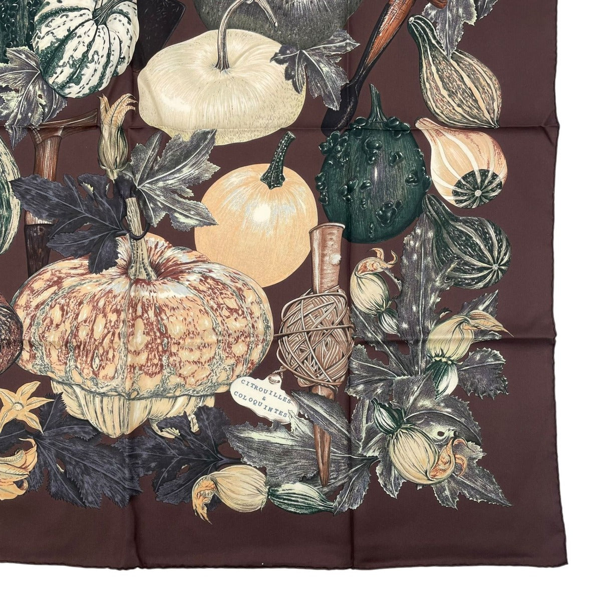 Hermes Scarf Silk Carre 90 Citrouilles ET Coloquintes Pumpkin and Colocint Brown — view 5