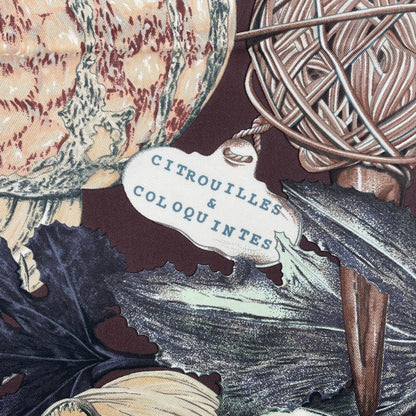 Hermes Scarf Silk Carre 90 Citrouilles ET Coloquintes Pumpkin and Colocint Brown — view 6