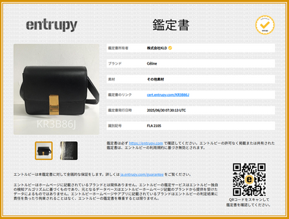 Celine - By Phoebe Philo Phoebe Classic BOX Classic Box Small Shoulder Bag -