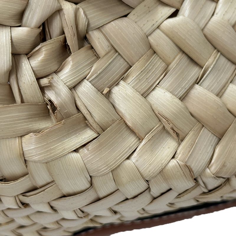 Celine Bag Women's Brand Teen Triomphe Handbag Shoulder Bag 2way Raffia Classic