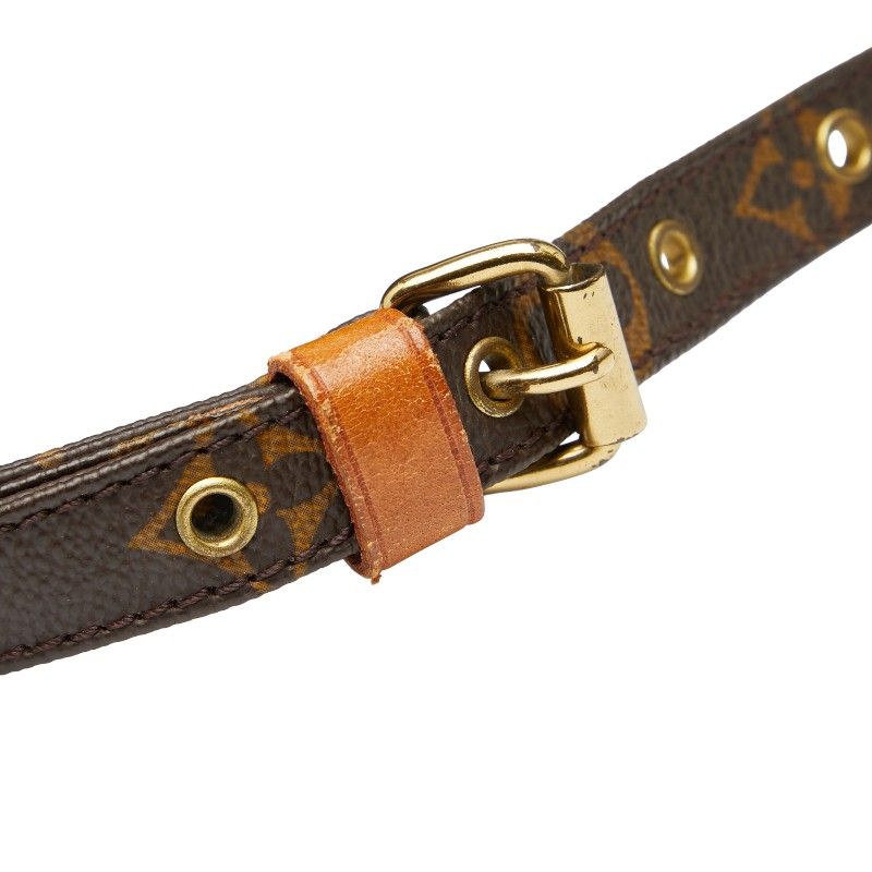 Louis Vuitton Monogram Amazon Crossbody Shoulder Bag M45236 Brown PVC Leather