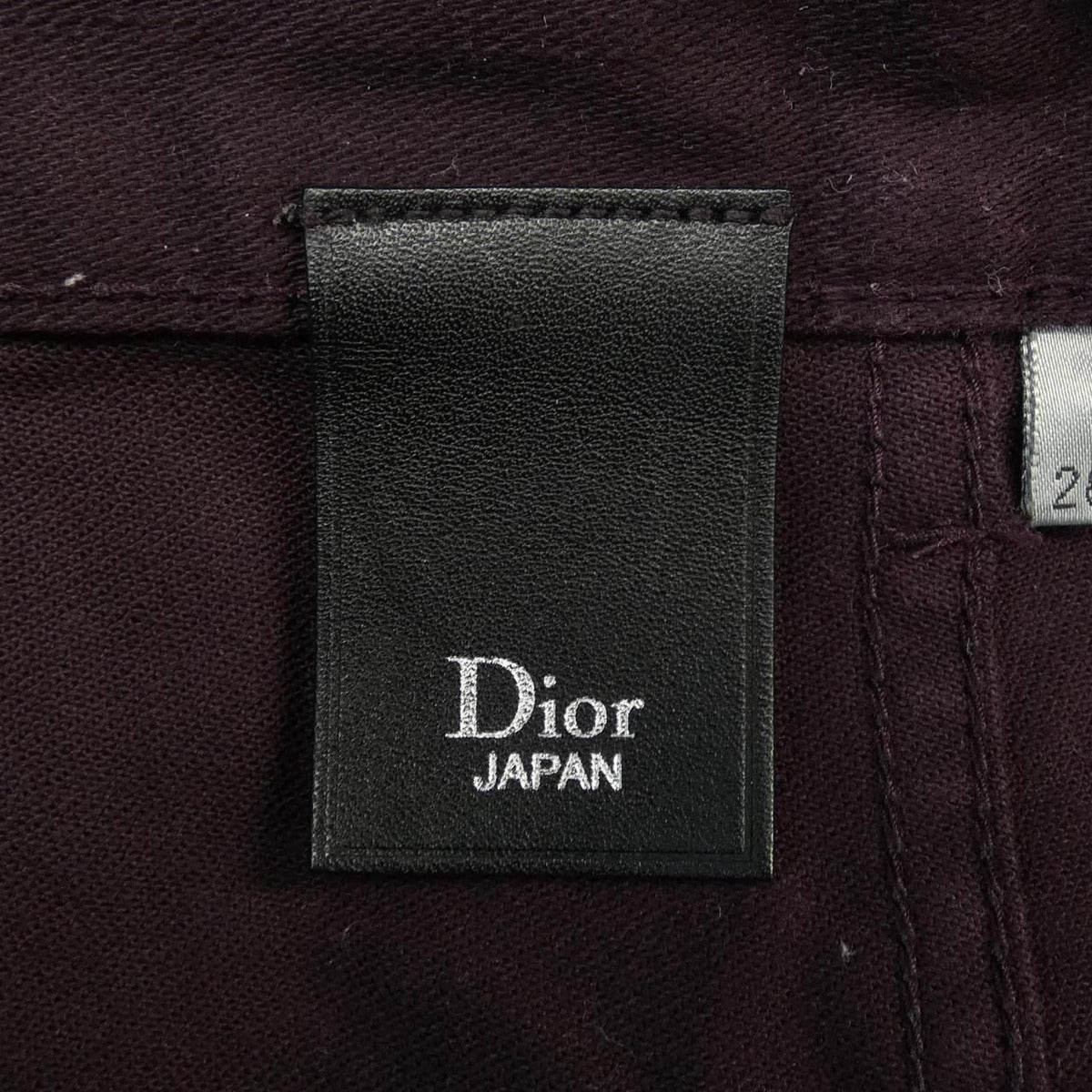 Dior Homme Pants Purple — view 4
