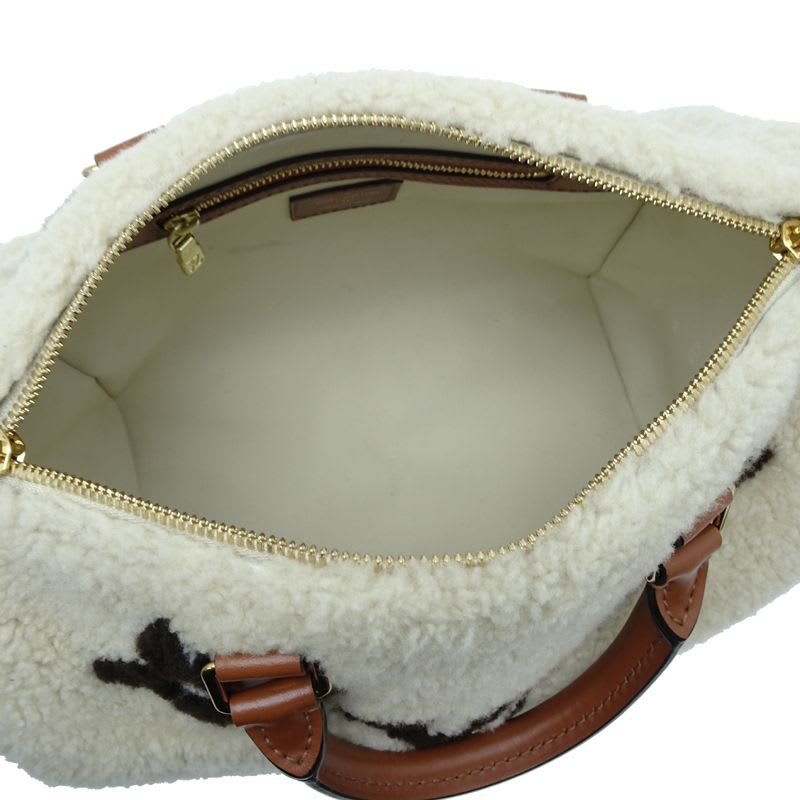 Louis Vuitton Handbag Speedy