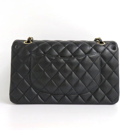 Chanel Matelasse 25 Double Flap Chain Shoulder Bag 2024 Cruise Badge