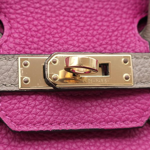 Hermes Handbag Birkin 25 Togo Rose Purple and Tourtière Gray Gold Hardware [po