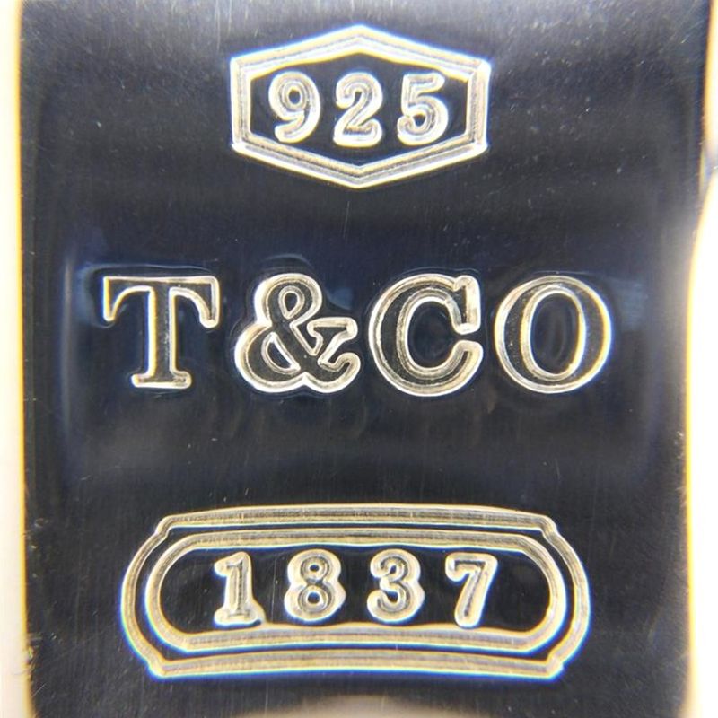 Tiffany & Co Tiffany & Co 1837 Dog Tag Necklace Sv925 229g Silver