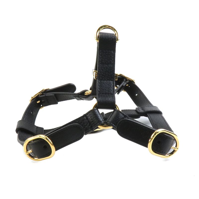 Gucci Dog Harness 692963