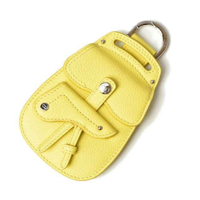 Dior Card Case Coin Ring Mini Wallet Saddlebag Motif