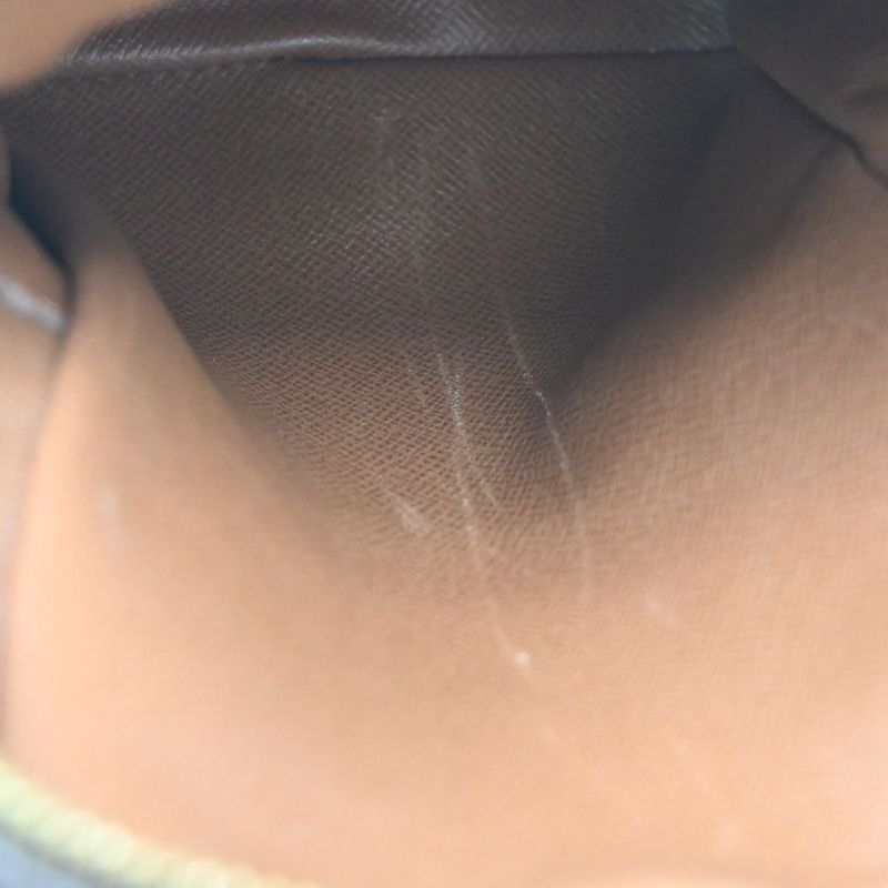 Louis Vuitton Mini Amazon Shoulder Bag Monogram 85ka801