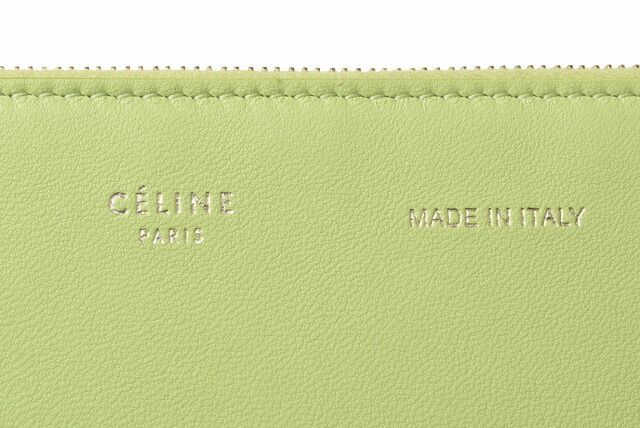 Celine Clutch Pouch Clutch Bag Ipad Case Celine Light Green Unused