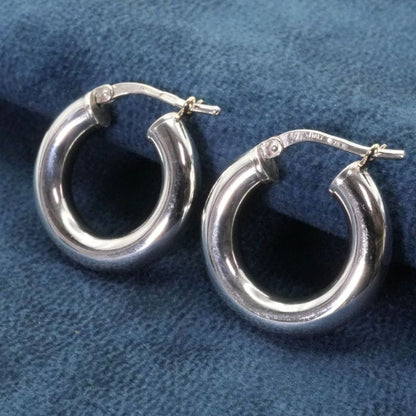 Bottega Veneta Silver Hoop Earrings 25-1593 Box