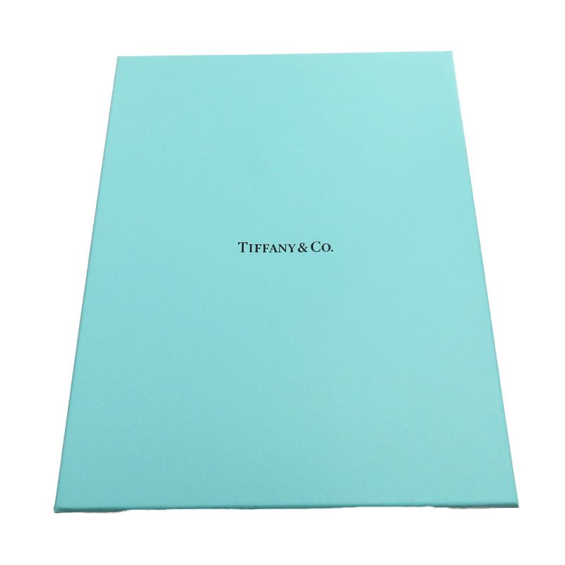 Tiffany & Co Glass Wine Glass Clear Swing Pair Set Ladies Men's Tiffany & Co