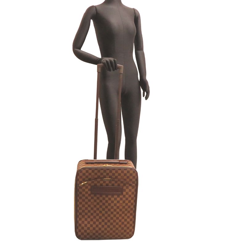 Louis Vuitton Carry Bag