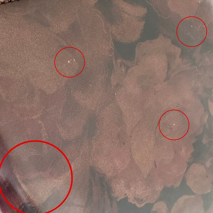 Christian Dior Lady Dior Ma-0958 Patent Leather Women's Handbag