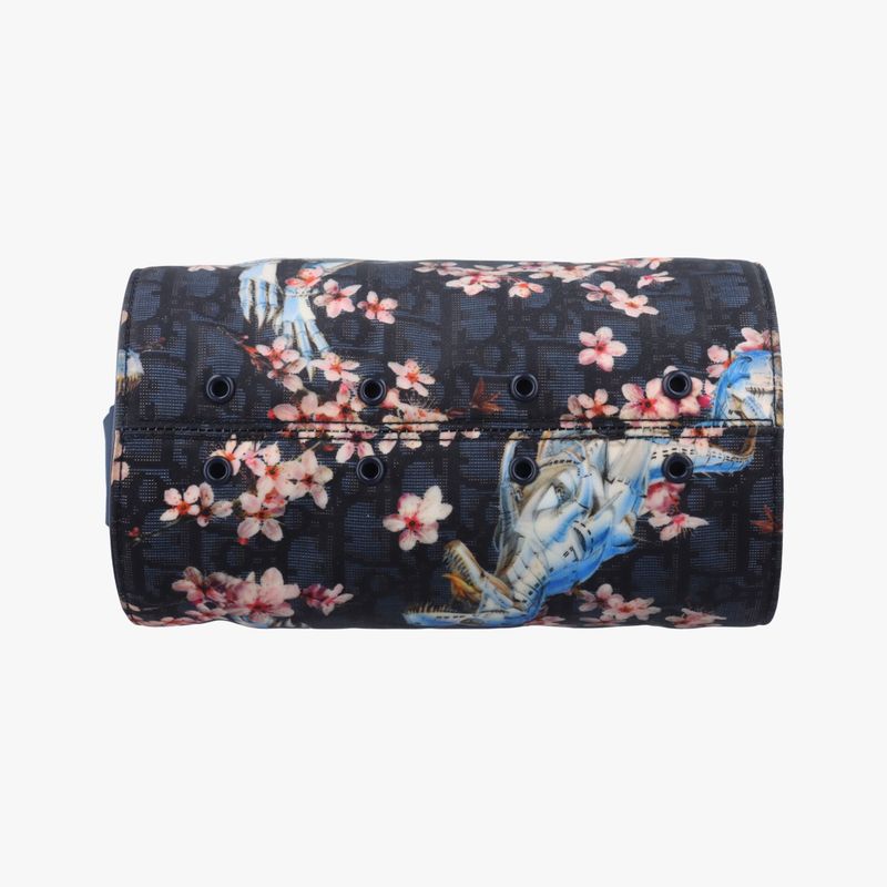 Christian Diorchristian Dior Solayama Robot Dinosaur Black And Multicolor Nylon