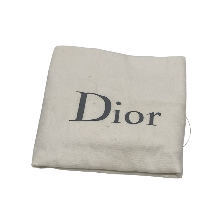 Dior/christian Dior Shoulder Bag Diorama Silver Chain Shoulder Leather