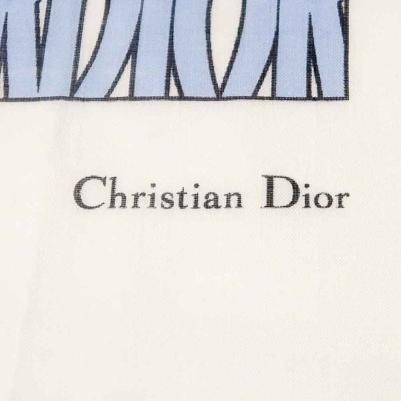 Dior Shawl Logo Light Blue Ivory Wool Cashmere Silk Large Shawl Fringe