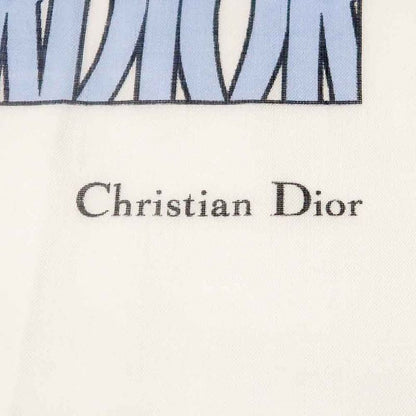 Dior Shawl Logo Light Blue Ivory Wool Cashmere Silk Large Shawl Fringe