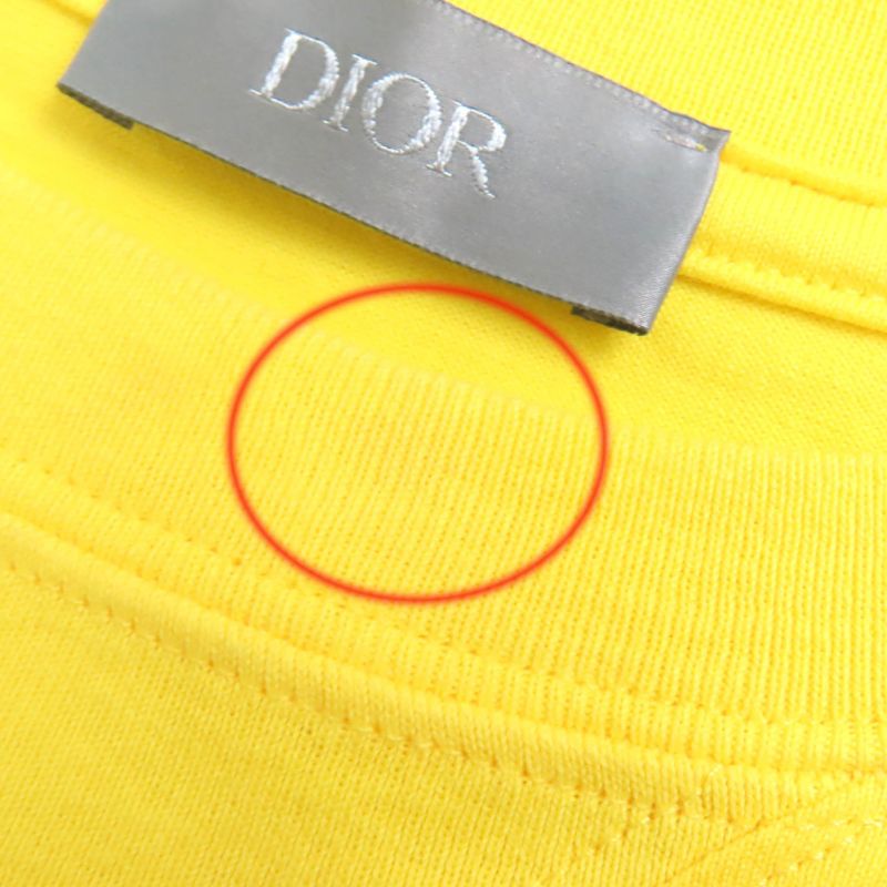 DIOR Peter Doig DIOR Homme Peter Doig 22AW 143j685c0677 100% Cotton Logo