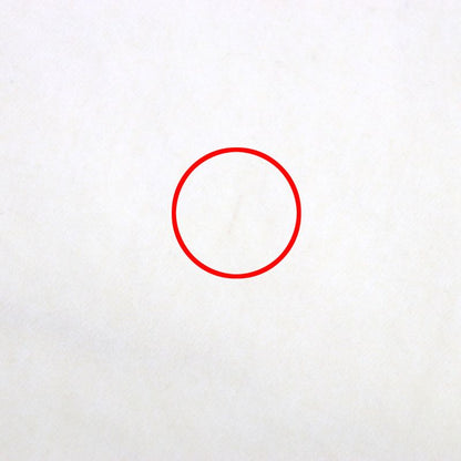  DIOR Cactus Jack Travis Scott DIOR Homme Cactus Jack Travis Scott 193d011ey512