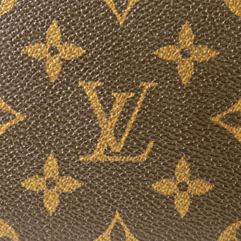 Louis Vuitton Handbag Recital Brown Rank SA