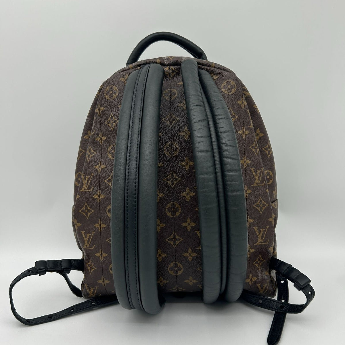Louis Vuitton Palm Spring Backpack MM Sac — view 2