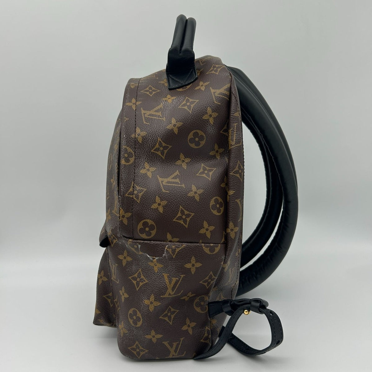 Louis Vuitton Palm Spring Backpack MM Sac — view 4