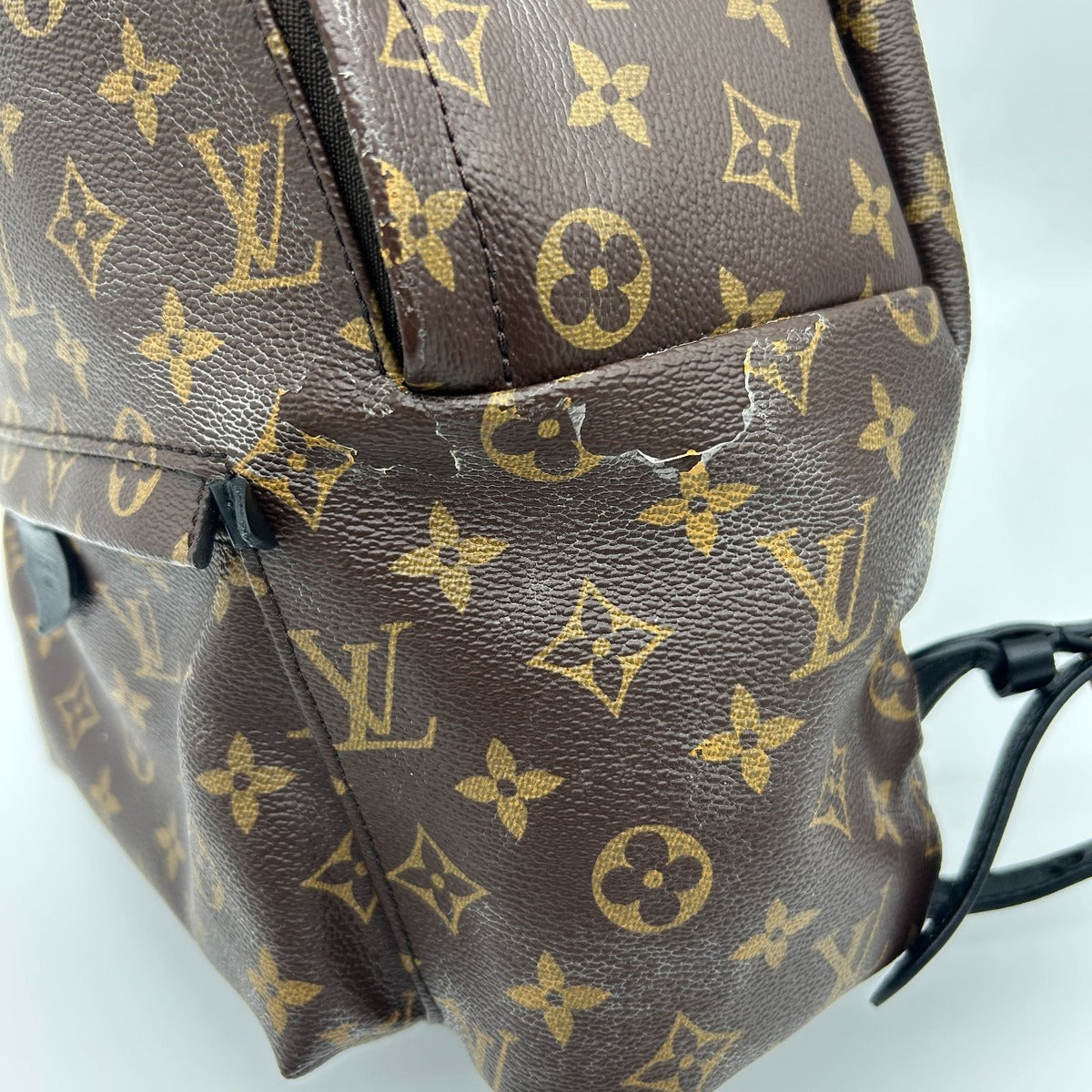 Louis Vuitton Palm Spring Backpack MM Sac — view 5
