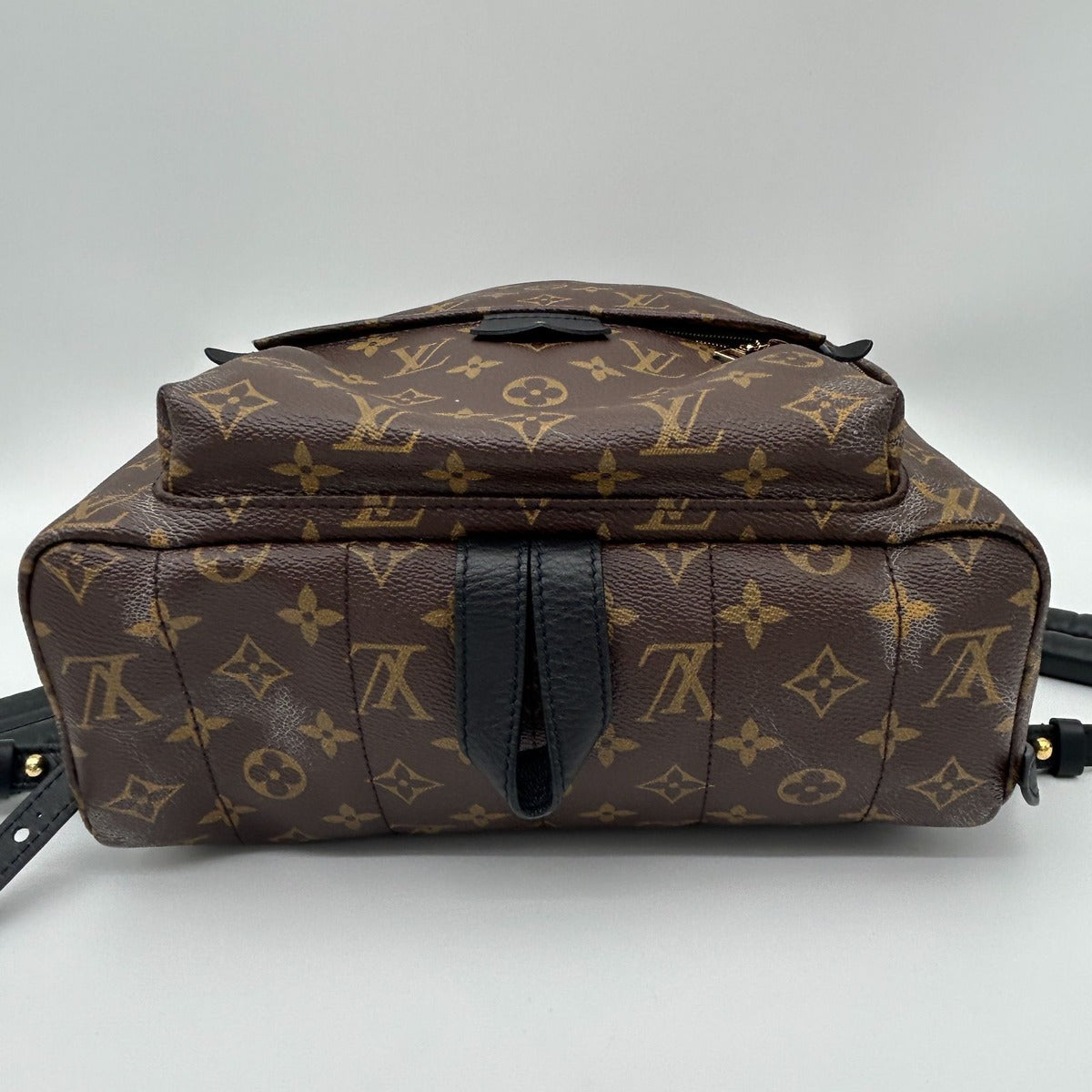 Louis Vuitton Palm Spring Backpack MM Sac — view 10