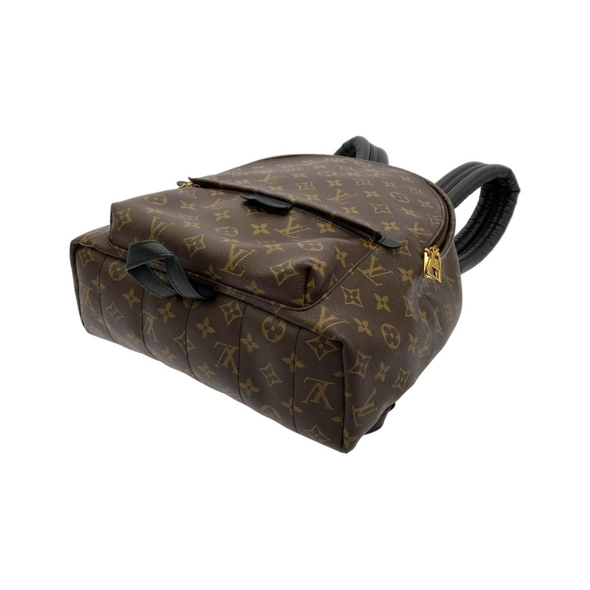 Louis Vuitton Monogram Palm Spring Backpack MM — view 3