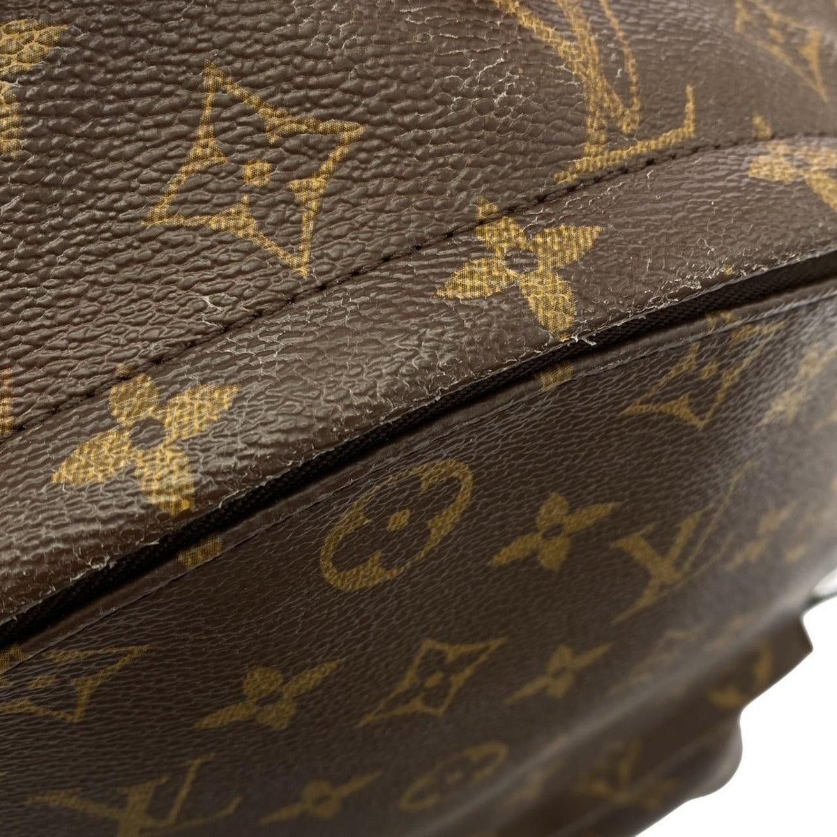 Louis Vuitton Monogram Palm Spring Backpack MM — view 5