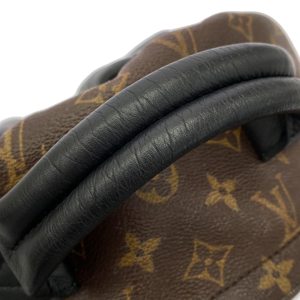 Louis Vuitton Monogram Palm Spring Backpack MM — view 6
