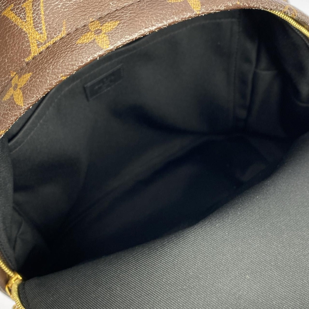 Louis Vuitton Monogram Palm Spring Backpack MM — view 8