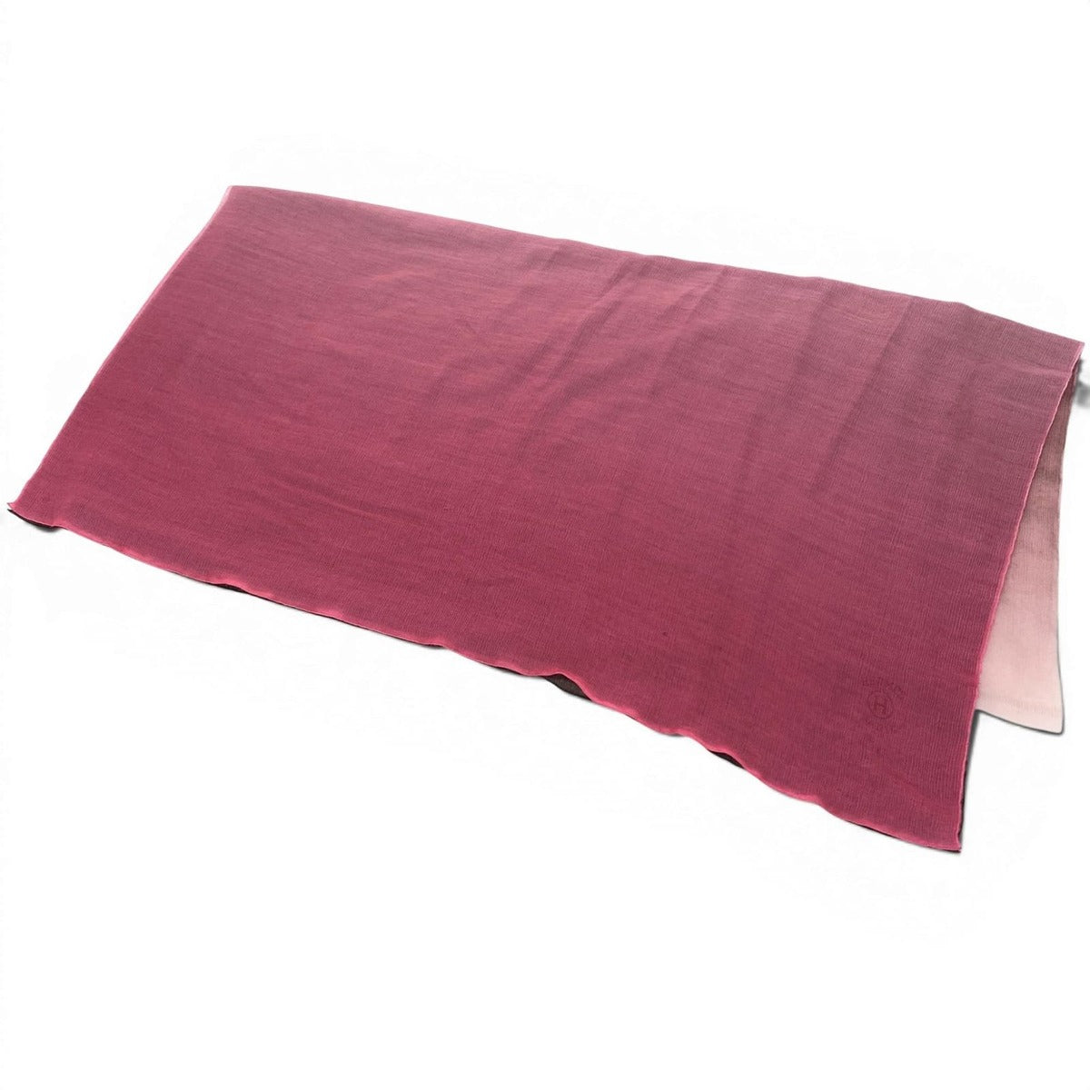 Hermes Etole Plume Extra Large Shawl Gradient Logo Made by Pearl Scarf — view 2